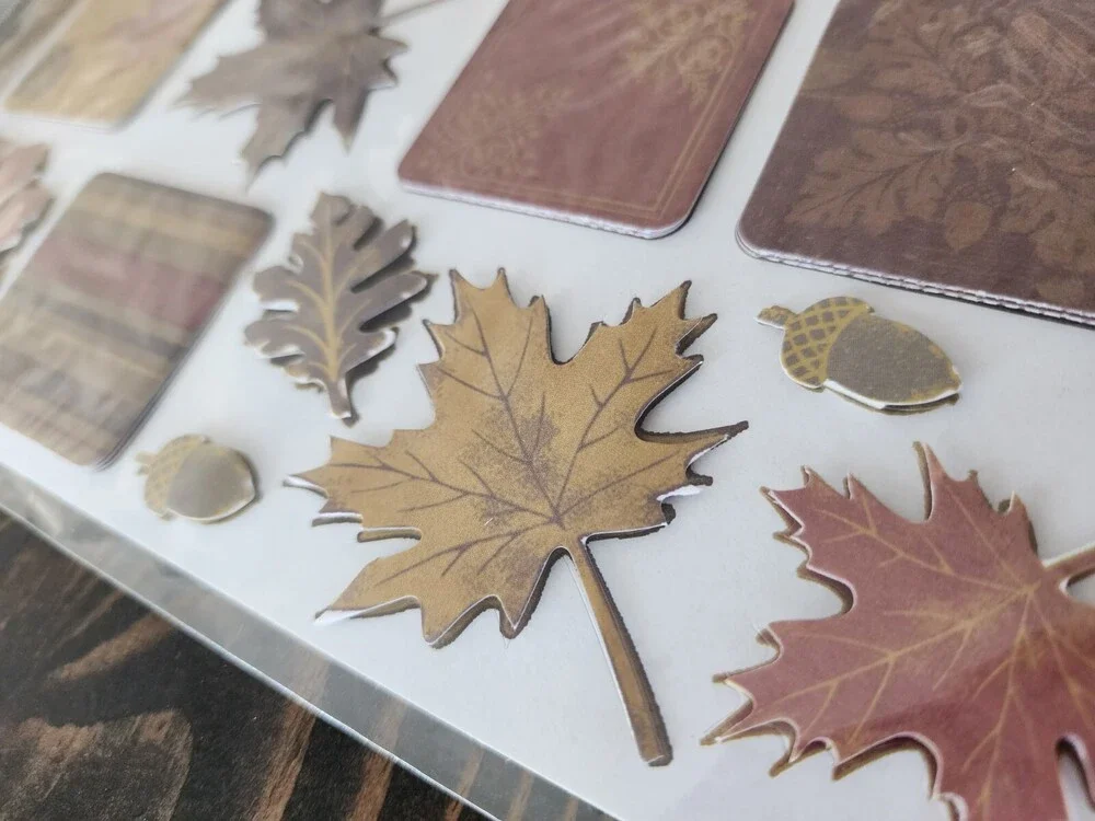 Scrapbooking Stickers - Fall 3D Jumbo Sheets - K&Co Lot New Retired #22